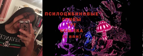 шишки Алексеевка