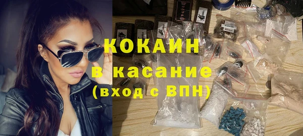 шишки Алексеевка