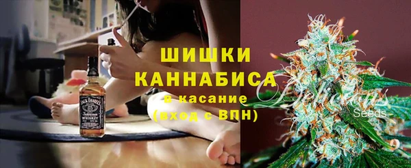 a pvp Рославль