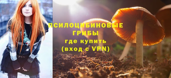 шишки Алексеевка