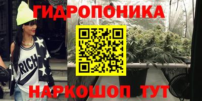 прущие крисы Донской