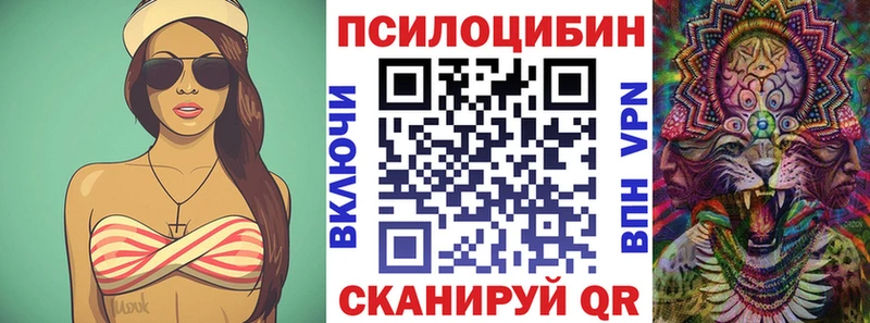 Галлюциногенные грибы Cubensis сколько стоит Тара