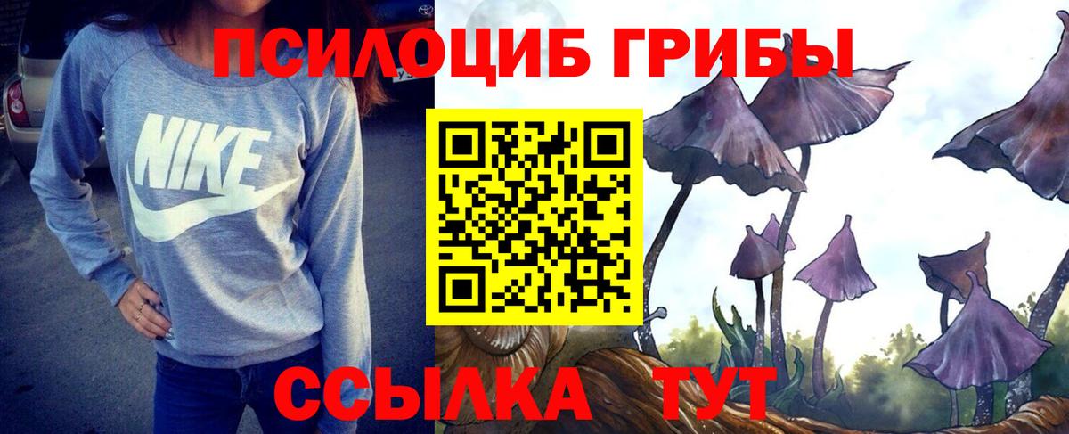 Галлюциногенные грибы MAGIC MUSHROOMS  Вход с VPN  Тара 